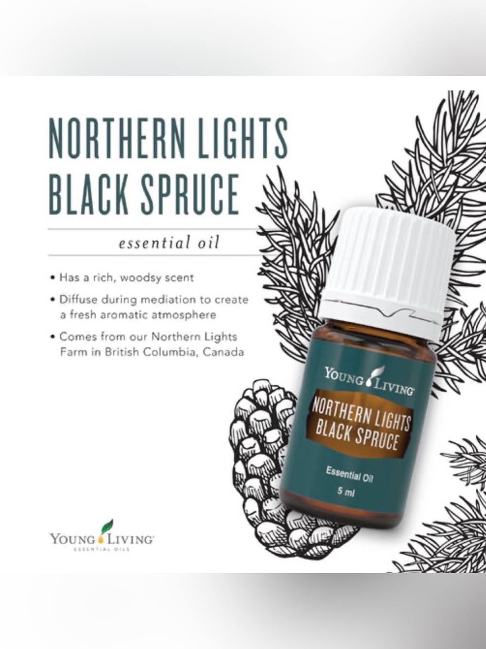 Young Living Northern Lights Black Spruce Essential Oil 5 ml Bottle Brand New - Picture 8 of 11